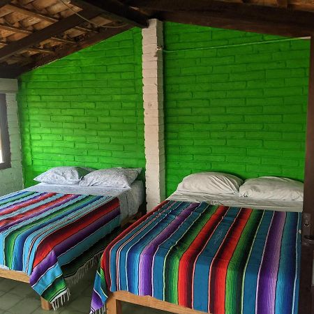 ホテルCasa Frida Vallarta プエルトバラータ エクステリア 写真