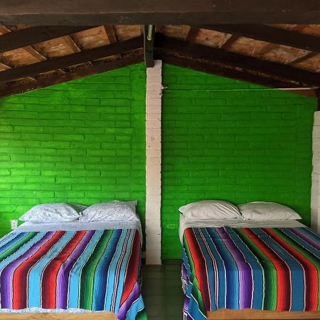 ホテルCasa Frida Vallarta プエルトバラータ エクステリア 写真